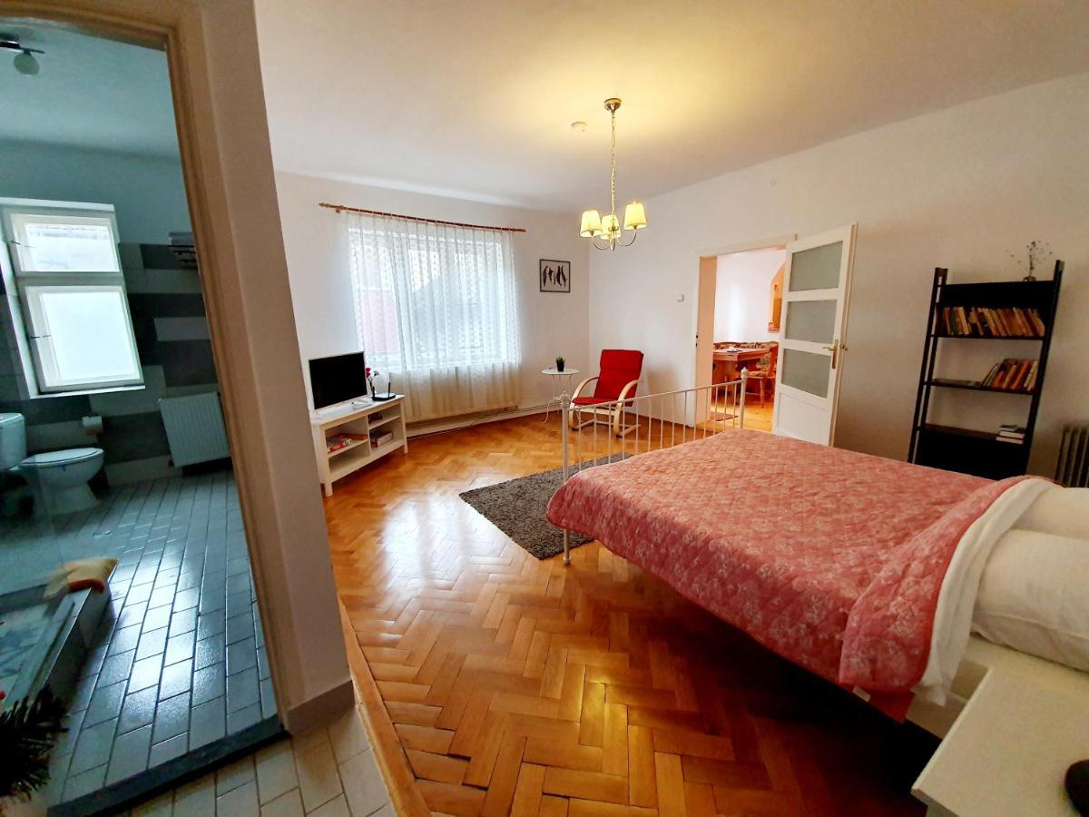 Luk Old Town Apartment Sibiu Ngoại thất bức ảnh